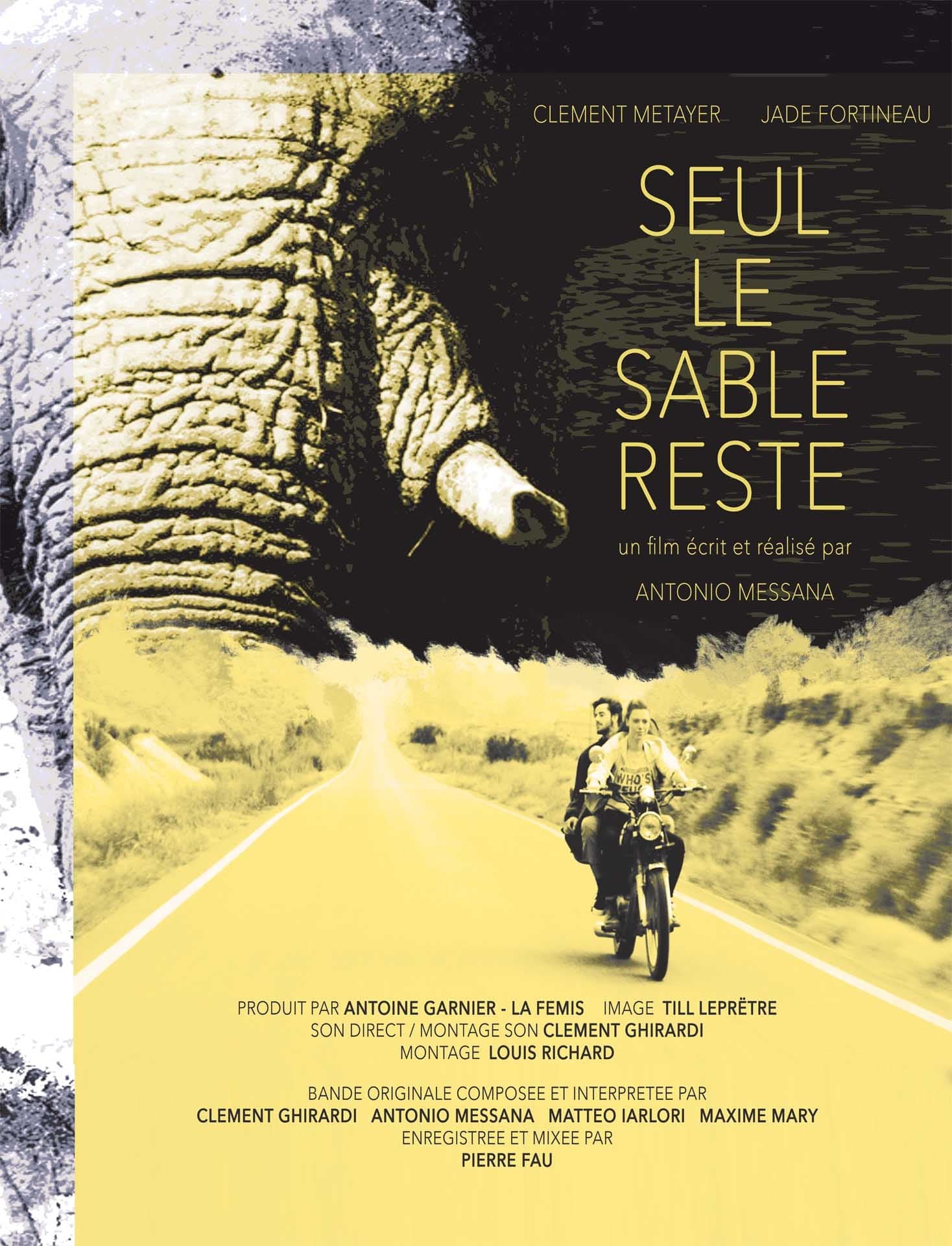 постер Seul le sable reste